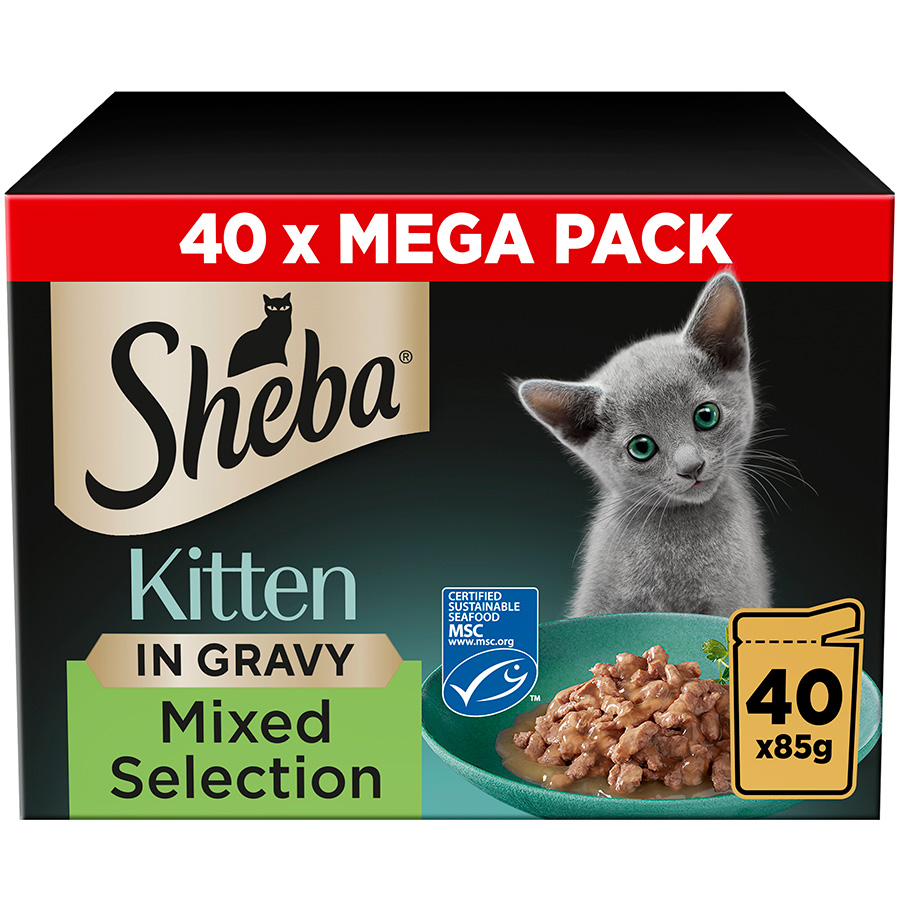 Can kittens eat sheba hotsell