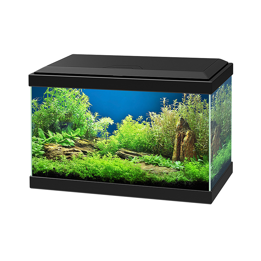 Homebase fish tank best sale