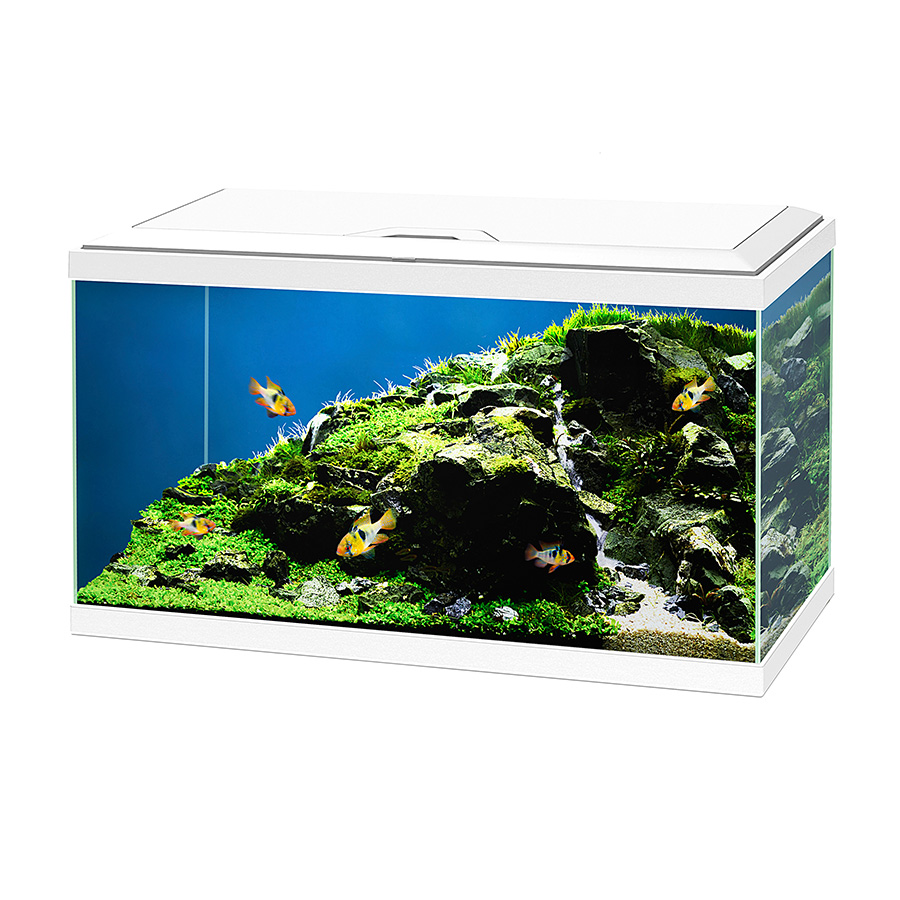 Ciano Aqua 60 LED Aquarium White | Pets