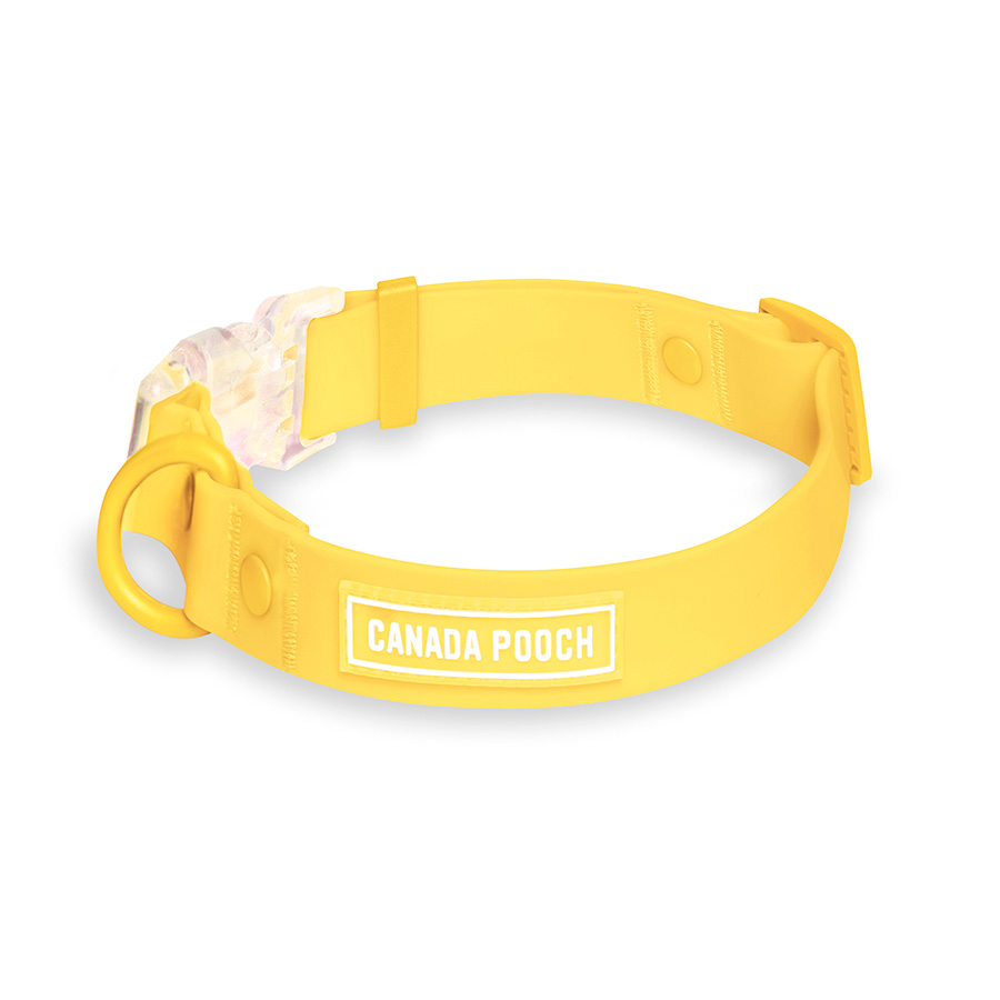 Canada Pooch Waterproof Dog Collar Yellow