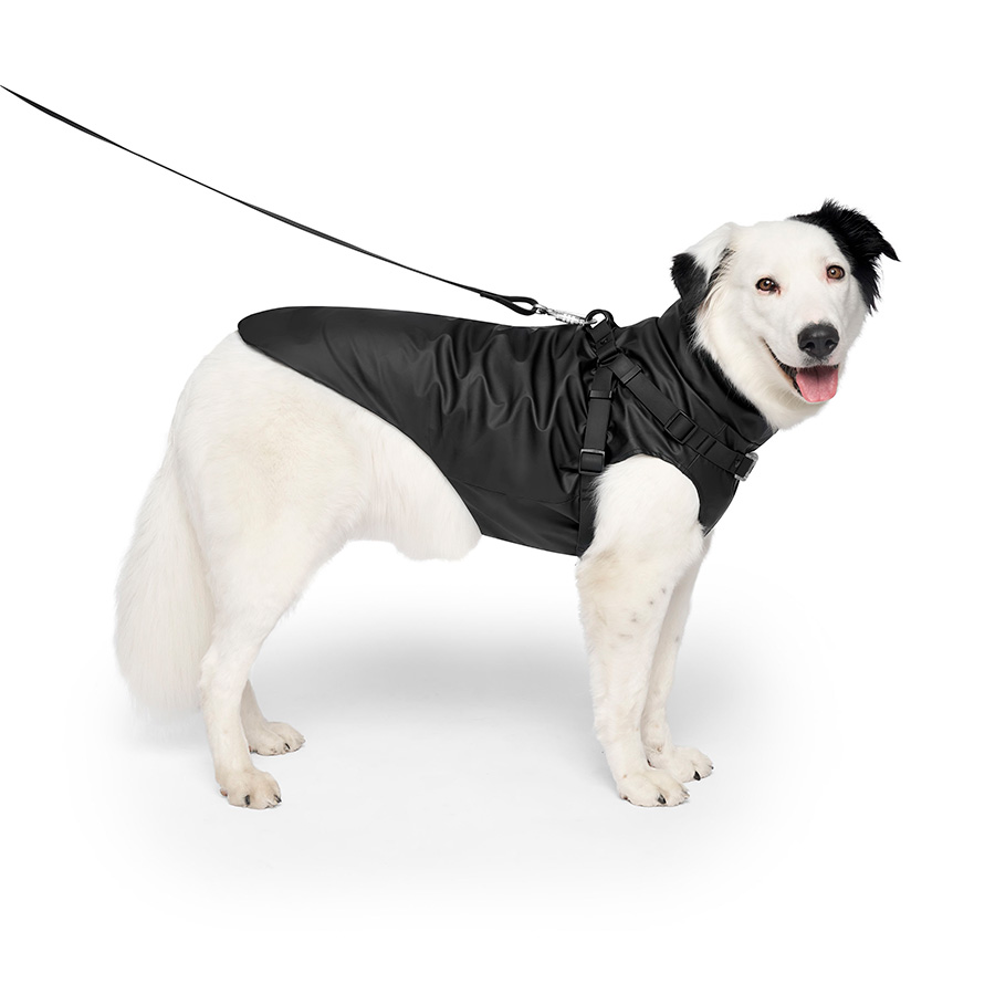 Black dog raincoat hotsell