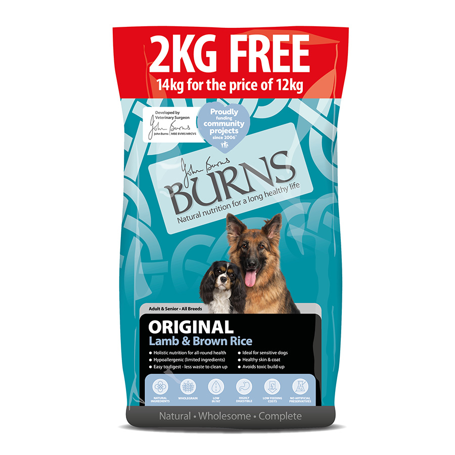 Buy burns dog food hotsell