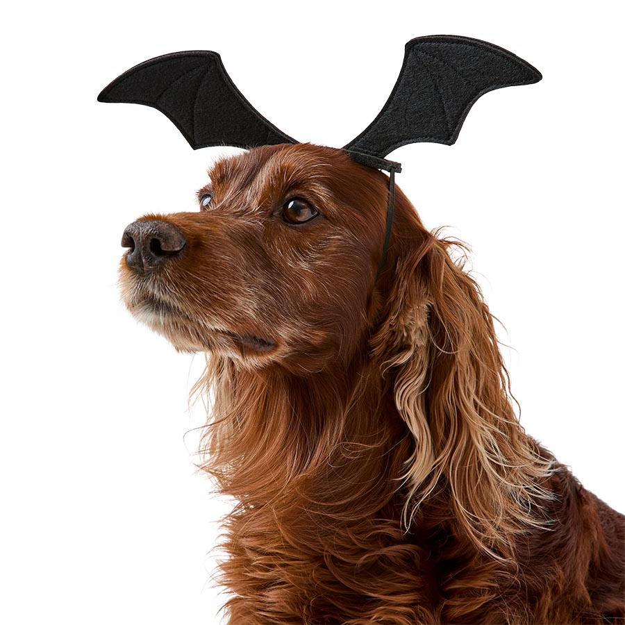 Pets at Home Halloween Bat Wings Dog Headpiece Black