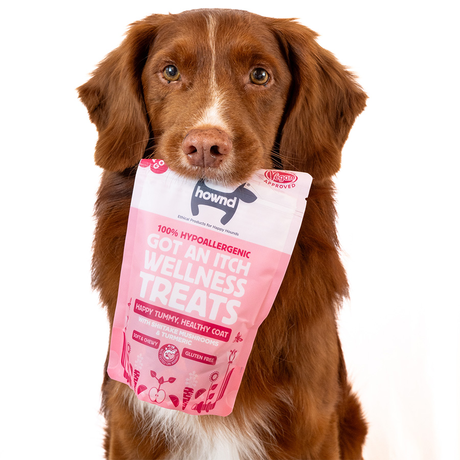 Hypoallergenic dog treats pets at home best sale