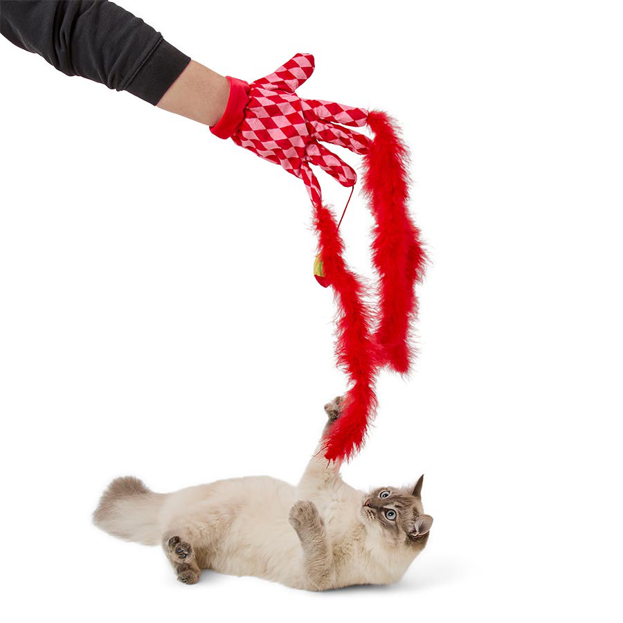 Glove cat toy best sale