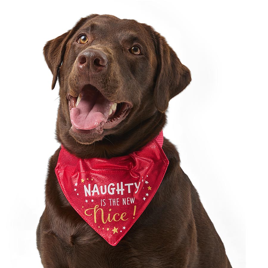 Pets at Home Christmas Naughty Is The New Nice Dog Bandana Red