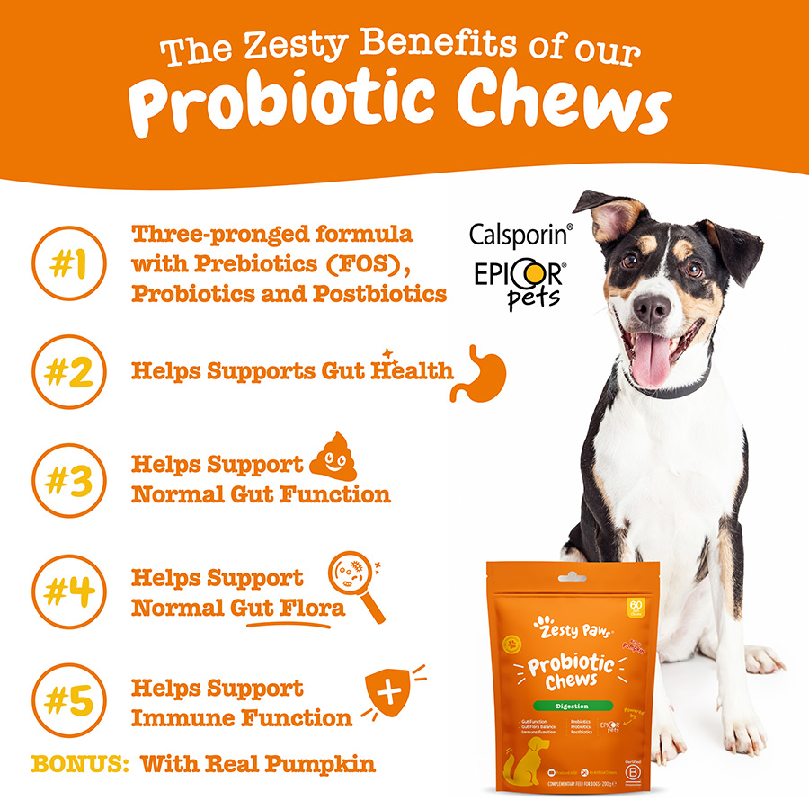 Dog probiotics pets at home best sale