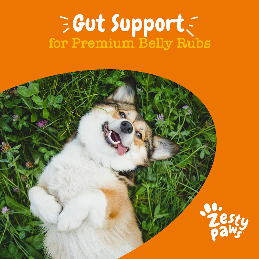 Zesty Paws Probiotic Dog Chews Pumpkin Flavour Pets