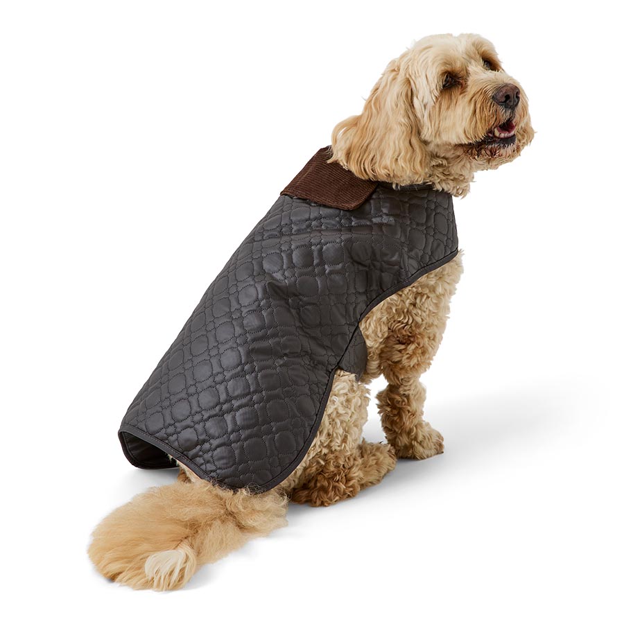 Wainwright's Shower Resistant Quilted Dog Jacket Espresso Large