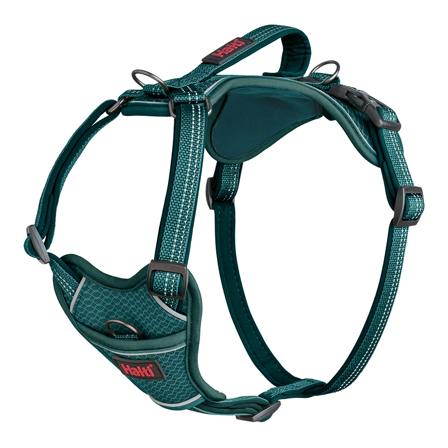 Halti Anatomy Dog Harness Teal Medium