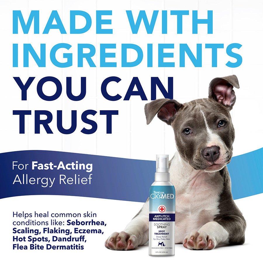 Prescription anti itch medicine for dogs best sale