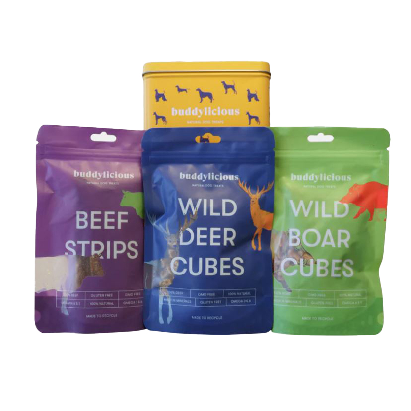 Buddylicious Dog Theme Dog Treats Yellow Gift Box