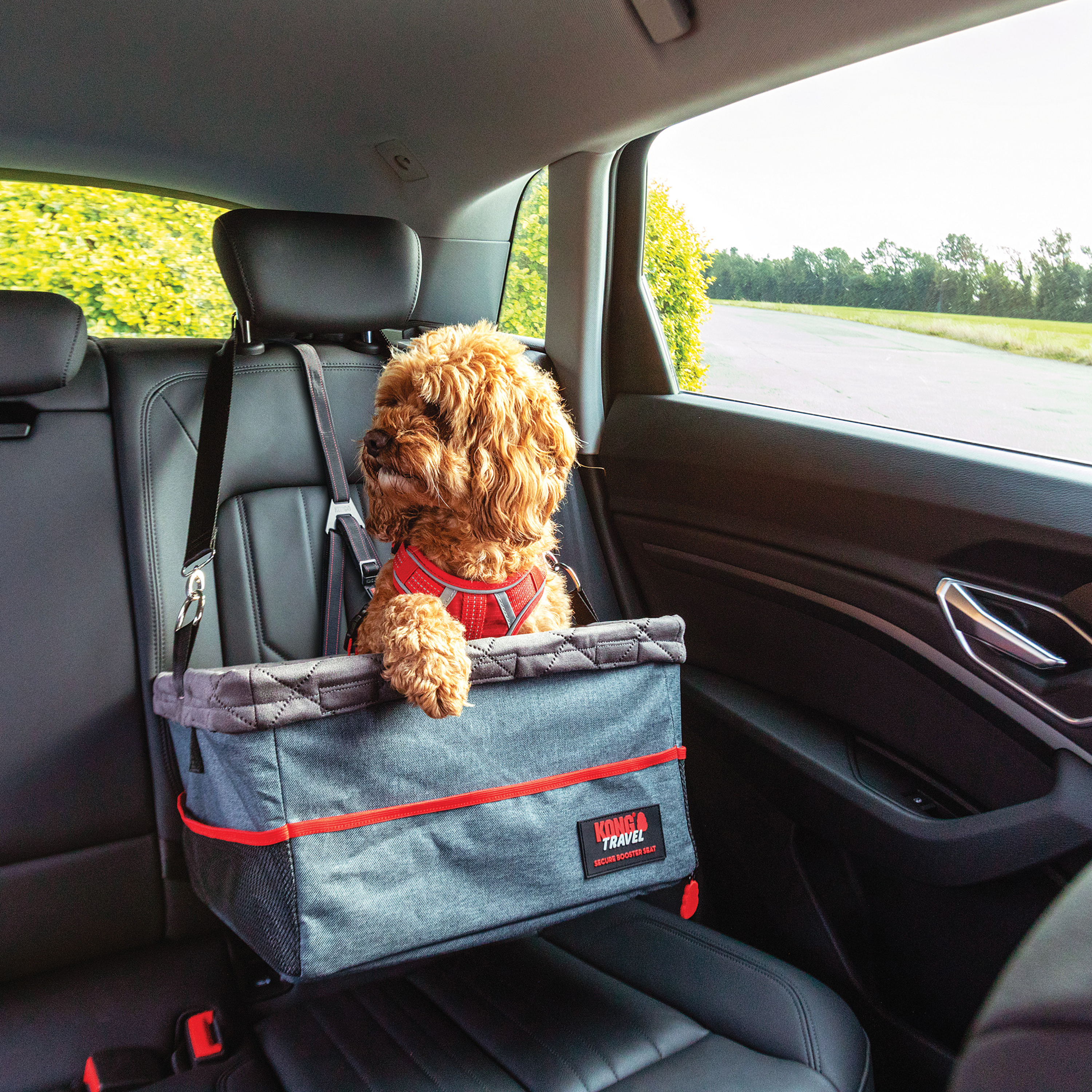 KONG Ultimate Safety Dog Seat Belt Tether & Booster Seat