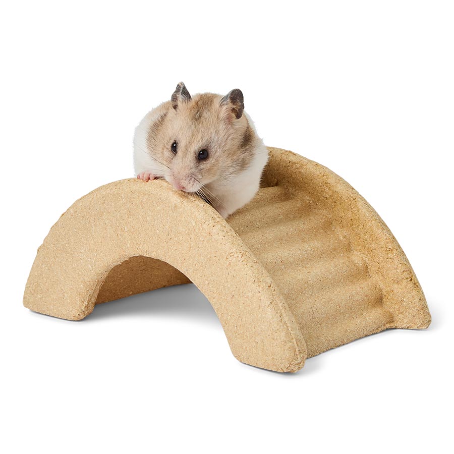 Pets at Home Small Animal Gnaw & Play