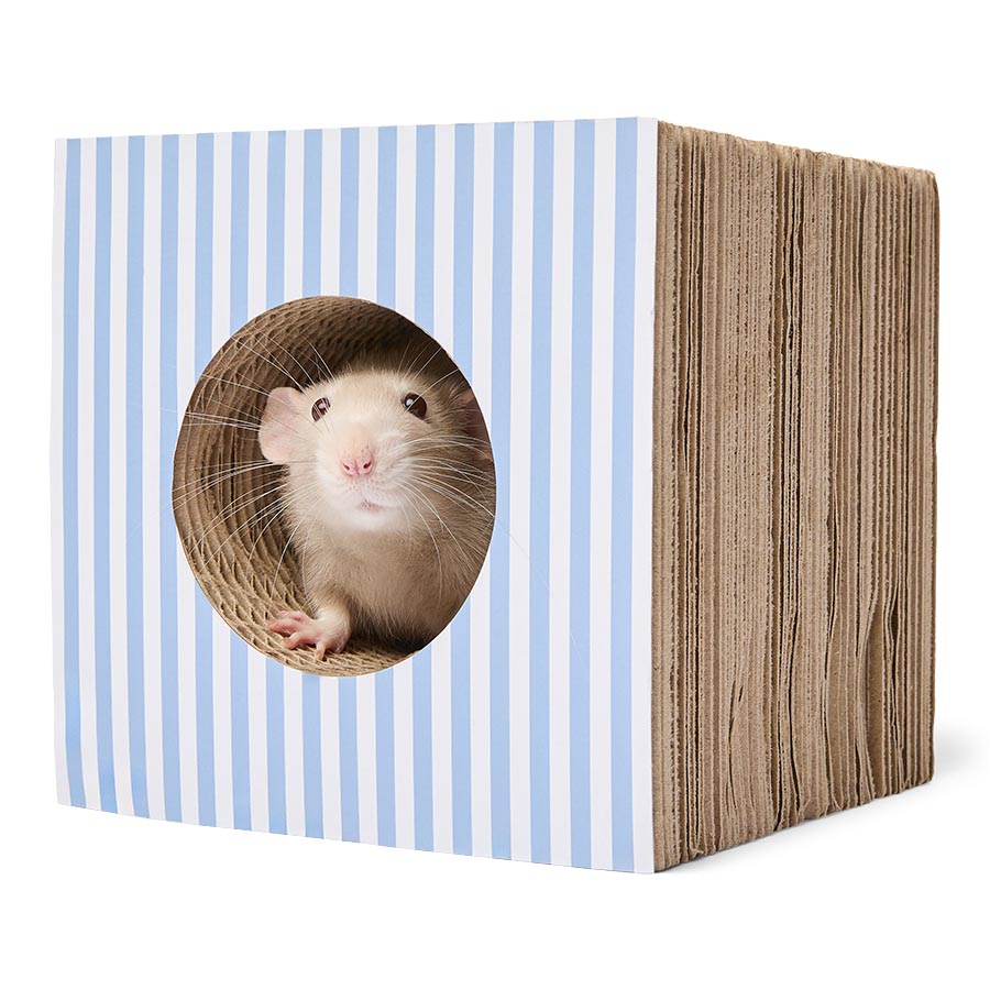 Pets at Home Cardboard Activity Block Small Animal Gnaw