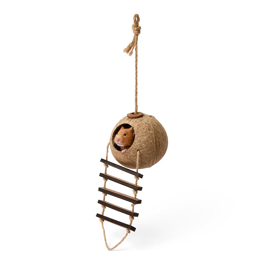 Pets at Home Coconut Climb Small Animal Hideaway