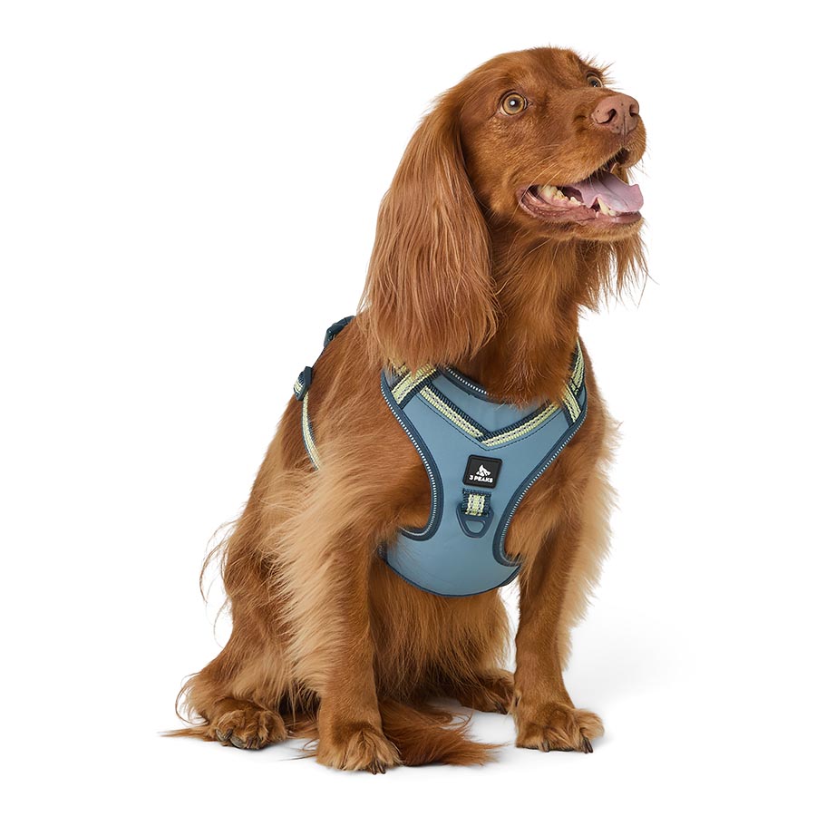 3 Peaks Everest Reflective Dog Harness Blue