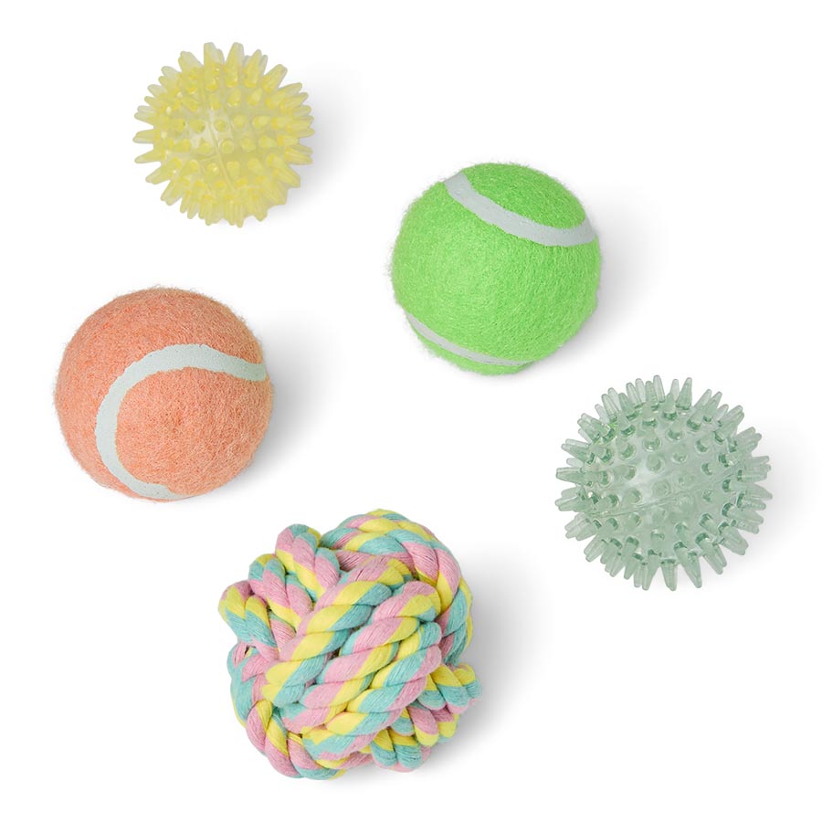 Just for Puppy Mixed Dog Balls Small x5