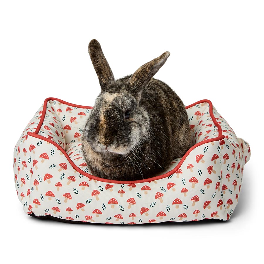 Pets at Home Toadstool Small Animal Bed