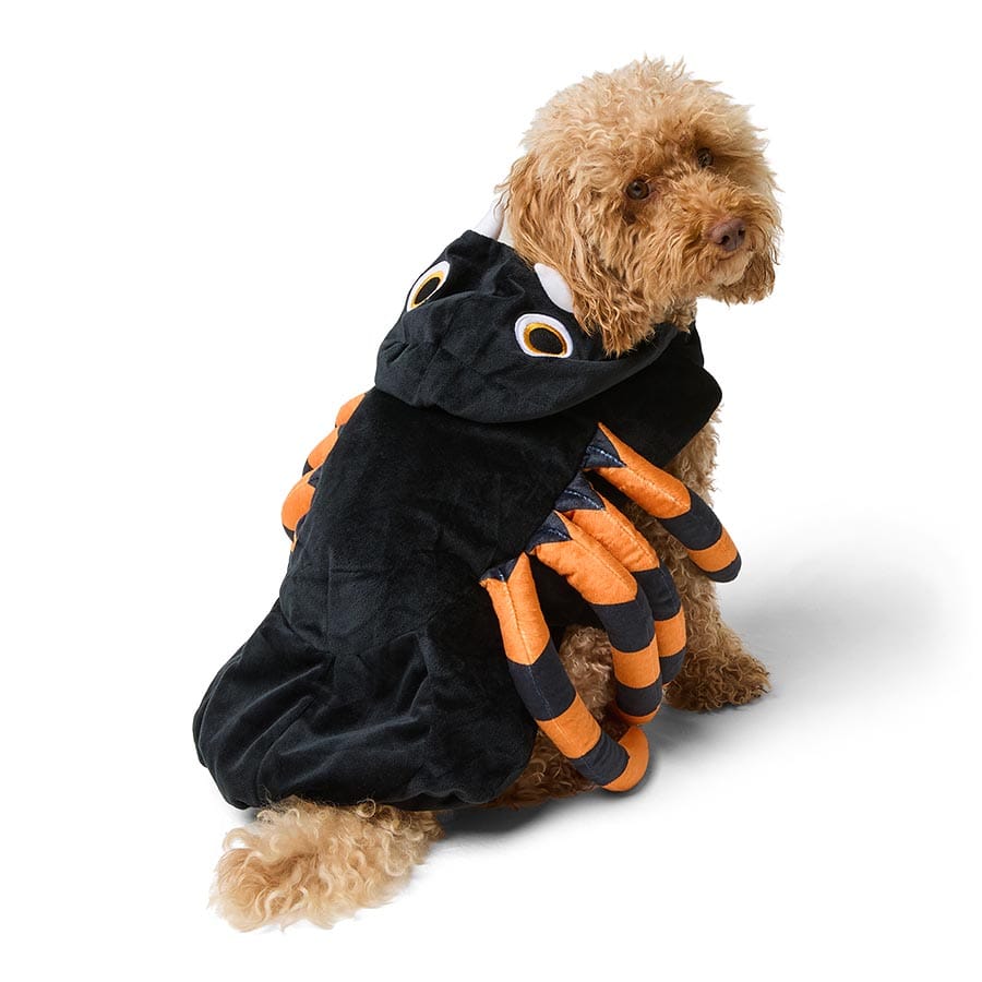 Pets At Home Halloween Syd The Spider Dog Costume Multi Coloured Small