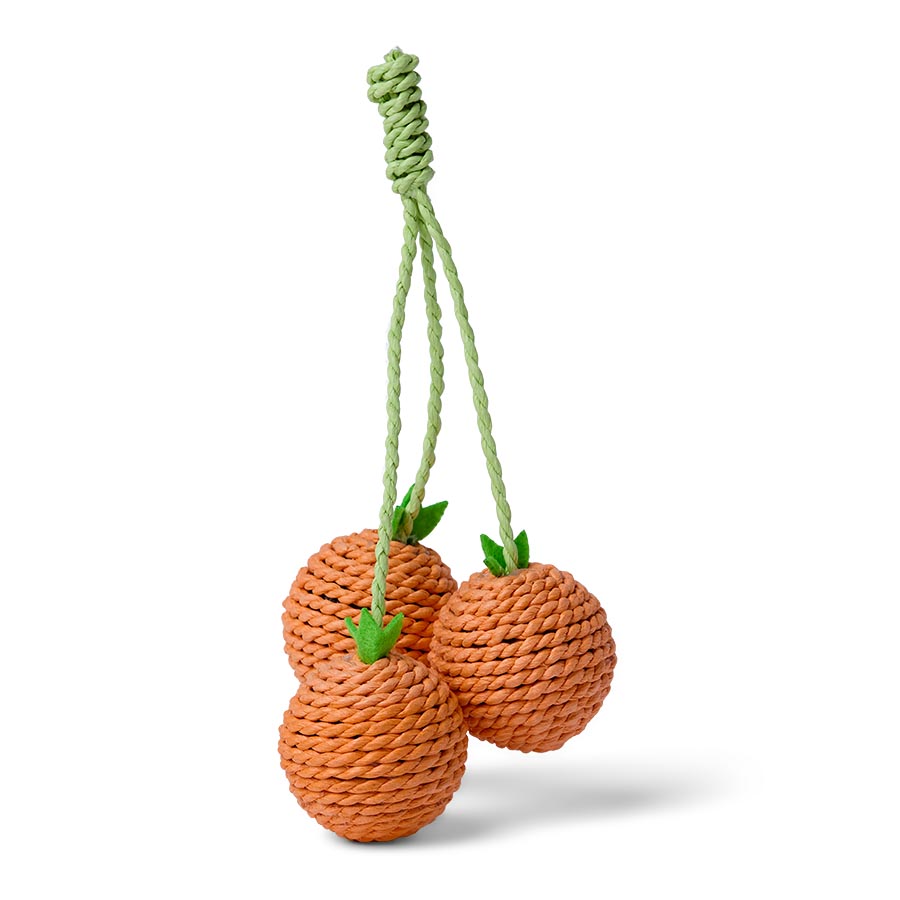 Willow's Tomato Rattle Cat Toy