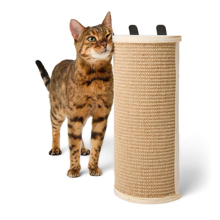 Willow's Jute Wall-Mounted Scratcher Cat Toy