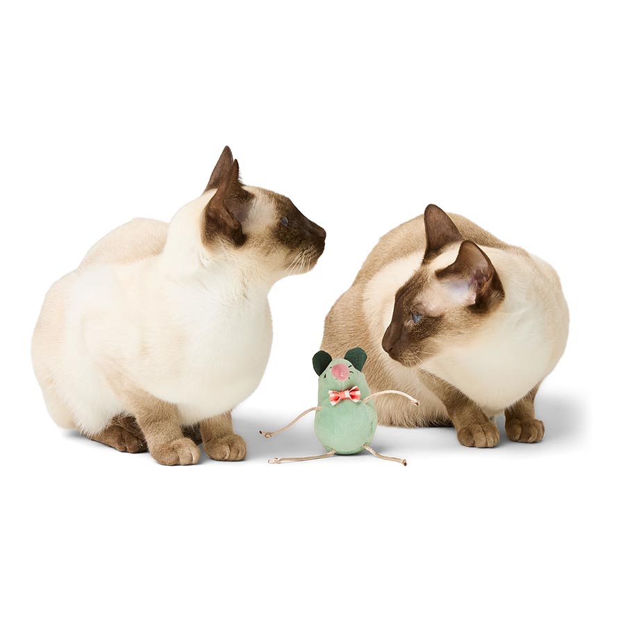 Willow's Catnip Mouse Kicker Cat Toy