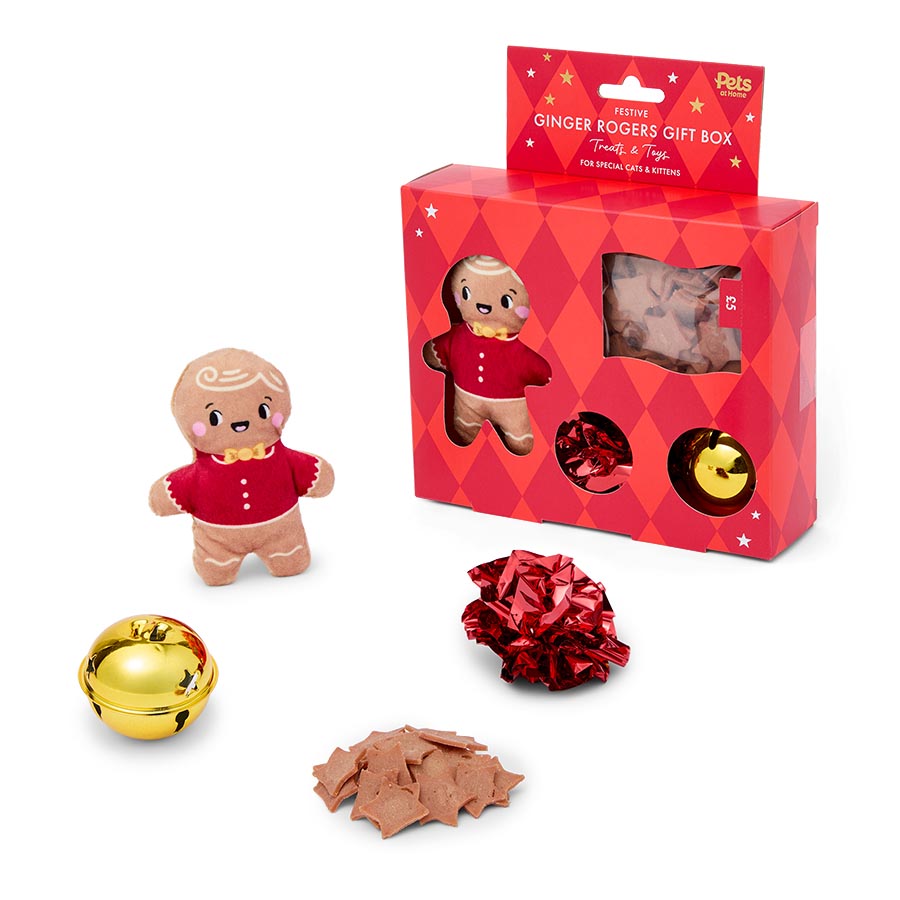 Pets at Home Christmas Festive Ginger Rogers Gift Box for Cats & Kittens