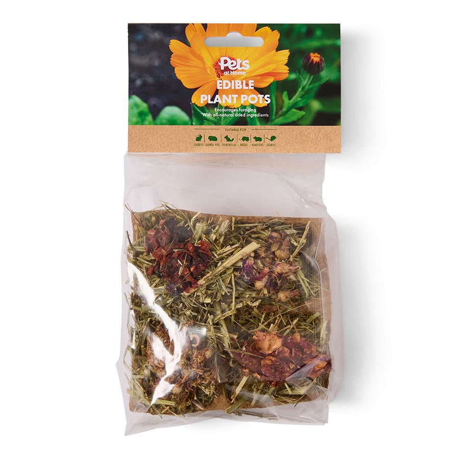 Pets at Home Small Animal Edible Plant Pot
