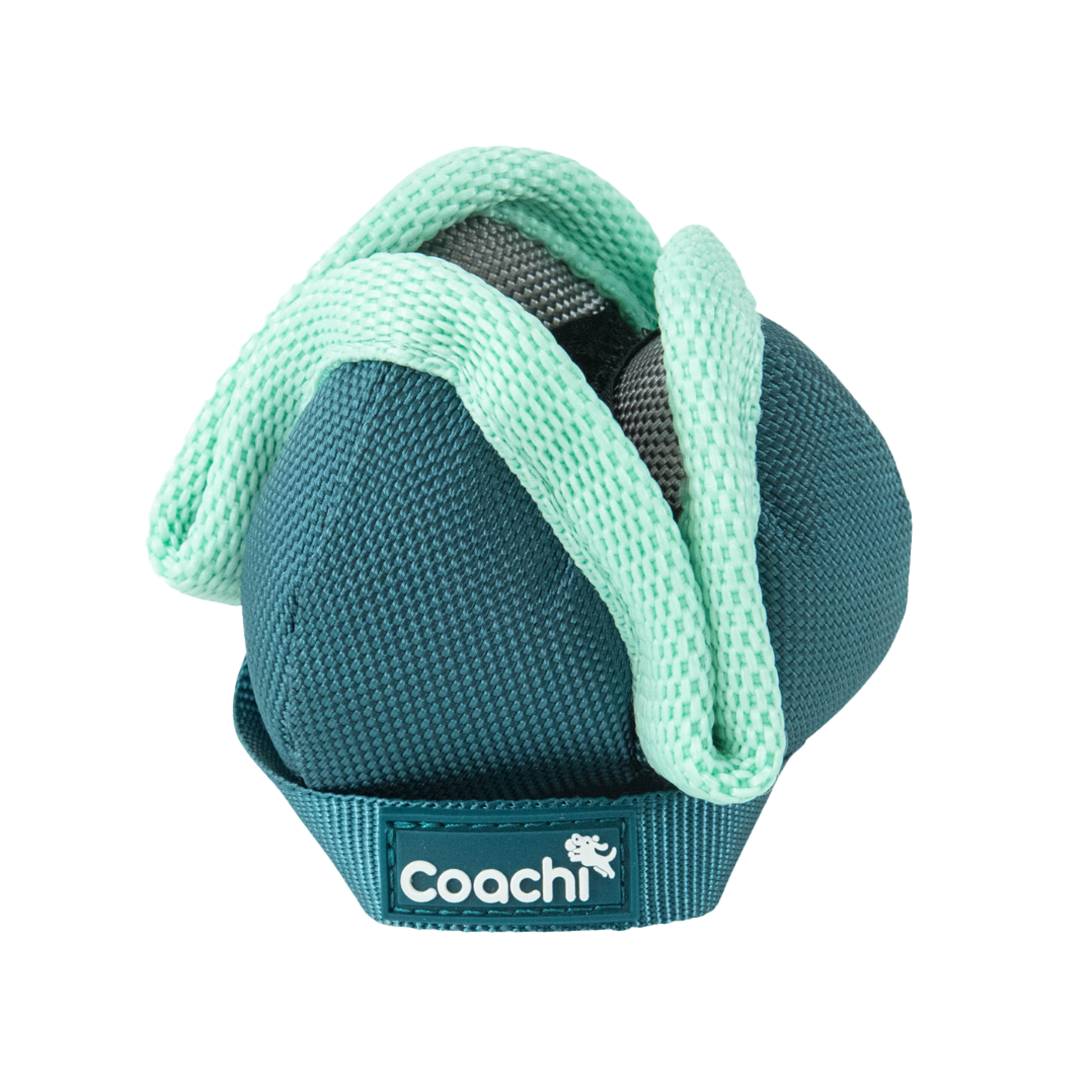 Coachi Puppy & Mini Small Dog Breed Dog Training Chase & Treat Toy Teal & Mint