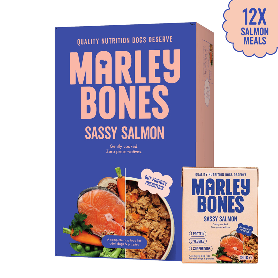 Marleybones Pantry Fresh Wet Dog Food Salmon & Superfoods Multipack