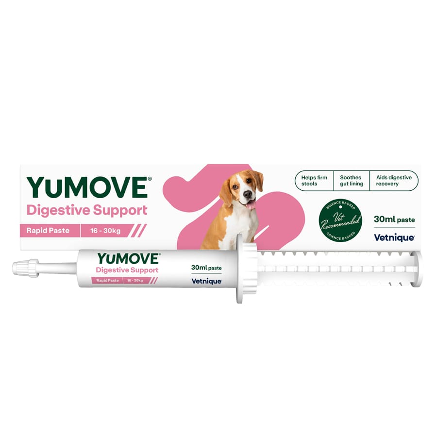 Yumove Digestive Care Rapid For Medium Dogs - Fast-Acting Stool Firming With Probiotics (30Ml) - Image 6