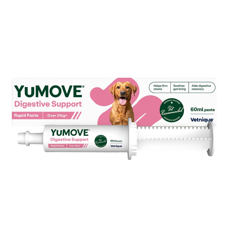 Lintbells Yumove Digestive Support Rapid Paste For Large Dogs 60Ml - 13139291 - Image 5