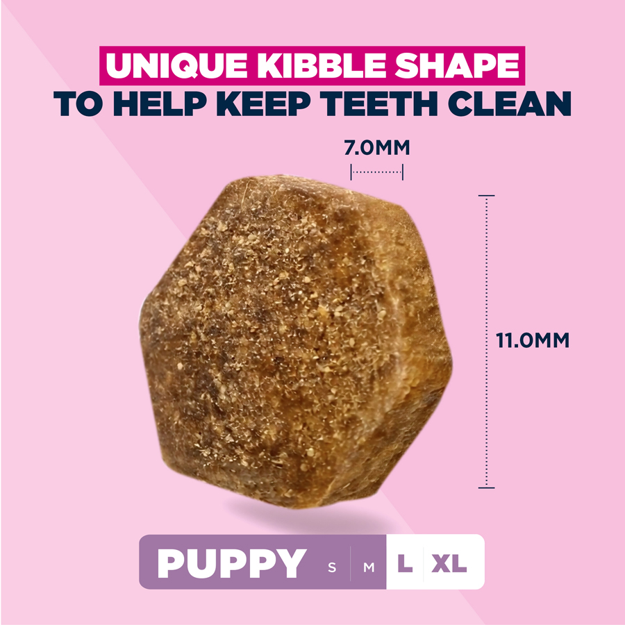 Image slide