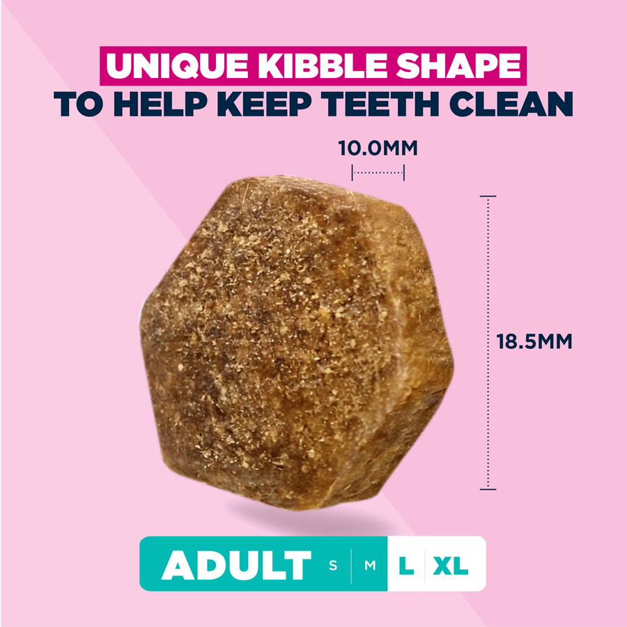Image slide