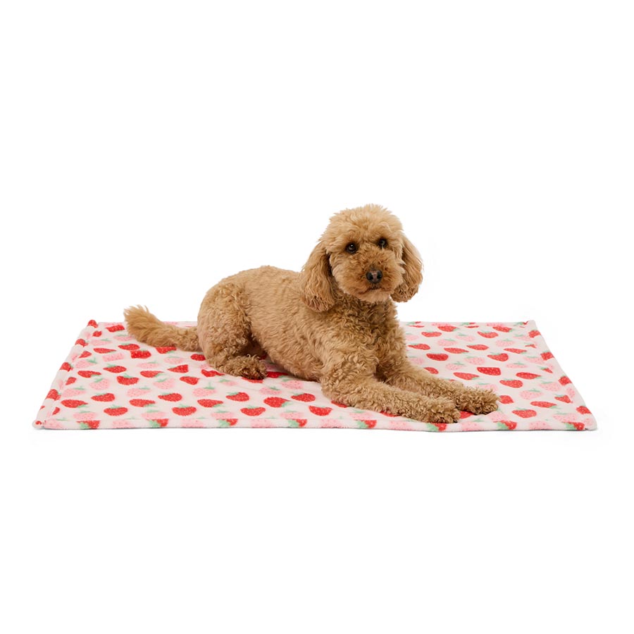 Pets at Home Sunny Days Berry Cute Fleece Dog Blanket