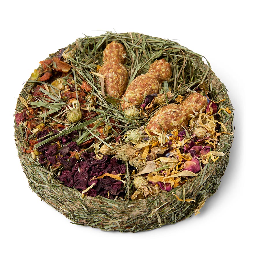 Pets at Home Sunny Days Picnic Plate Small Animal Treat