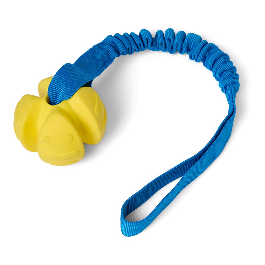 Pets at Home Foamed Ball with Bungee Rope