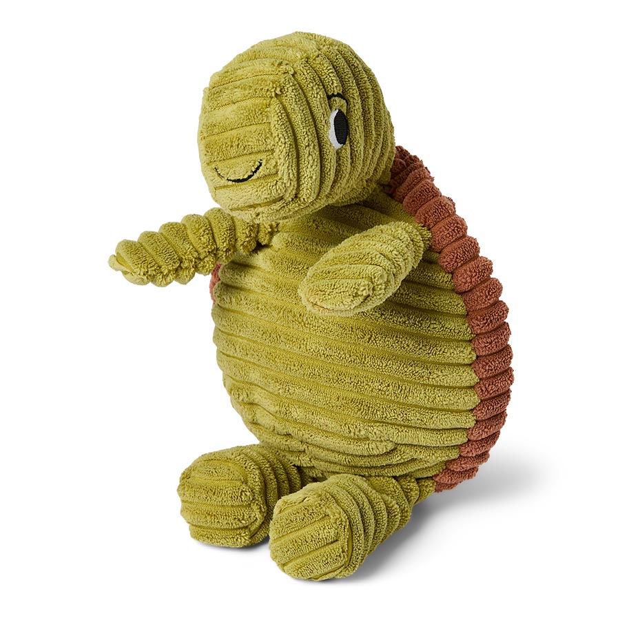 Pets at Home Turtle Squeaky Plush Cord Dog