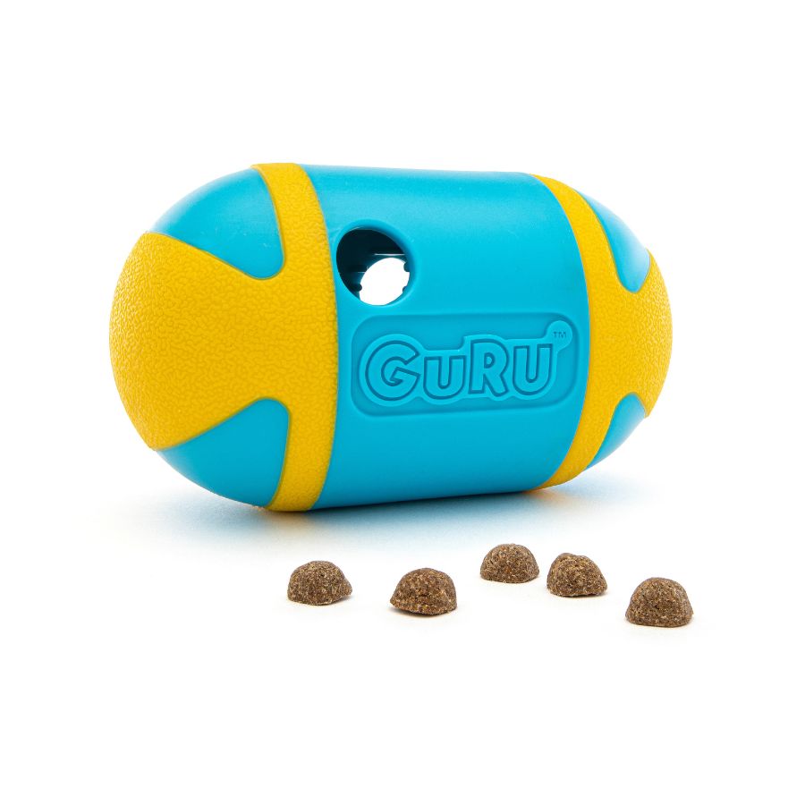 GURU Rock 'N' Treat Dispensing Dog Toy
