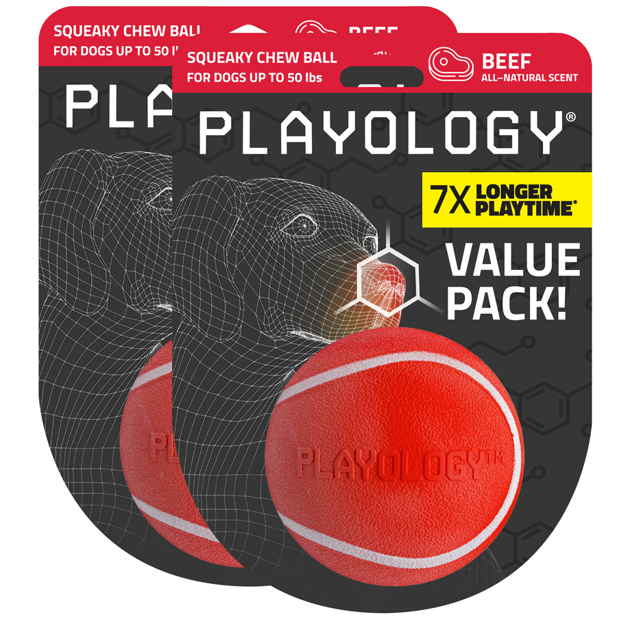 Playology Squeaky Chew Beef Scented Ball Dog Toy