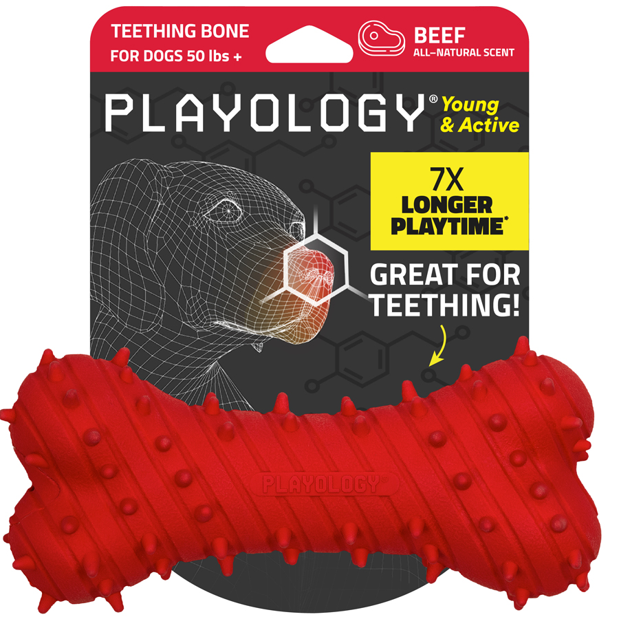 Playology Teething Bone Beef Scented