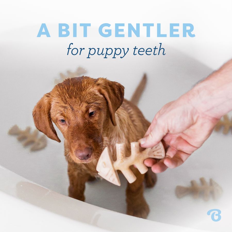 Image slide