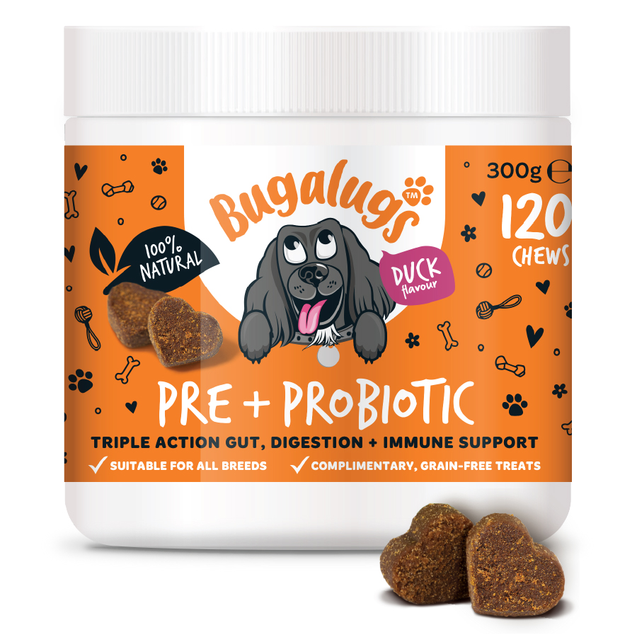 Bugalugs Pre & Probiotic Digestive Chews for Dogs