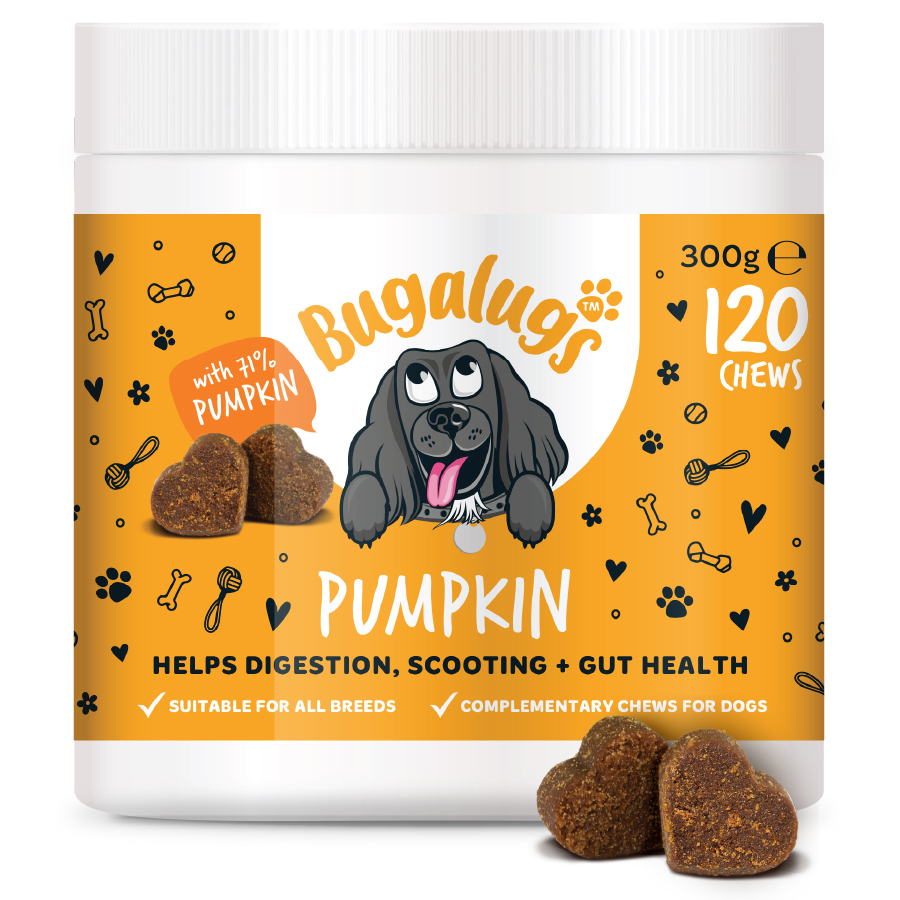 Bugalugs Pumpkin Chews for Dogs