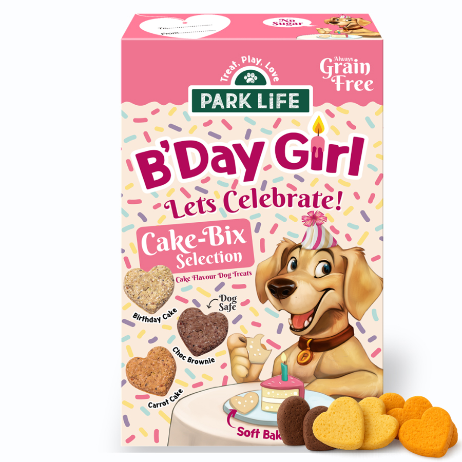 Park life Cake-Bix B'Day Girl Cake Dog Treats