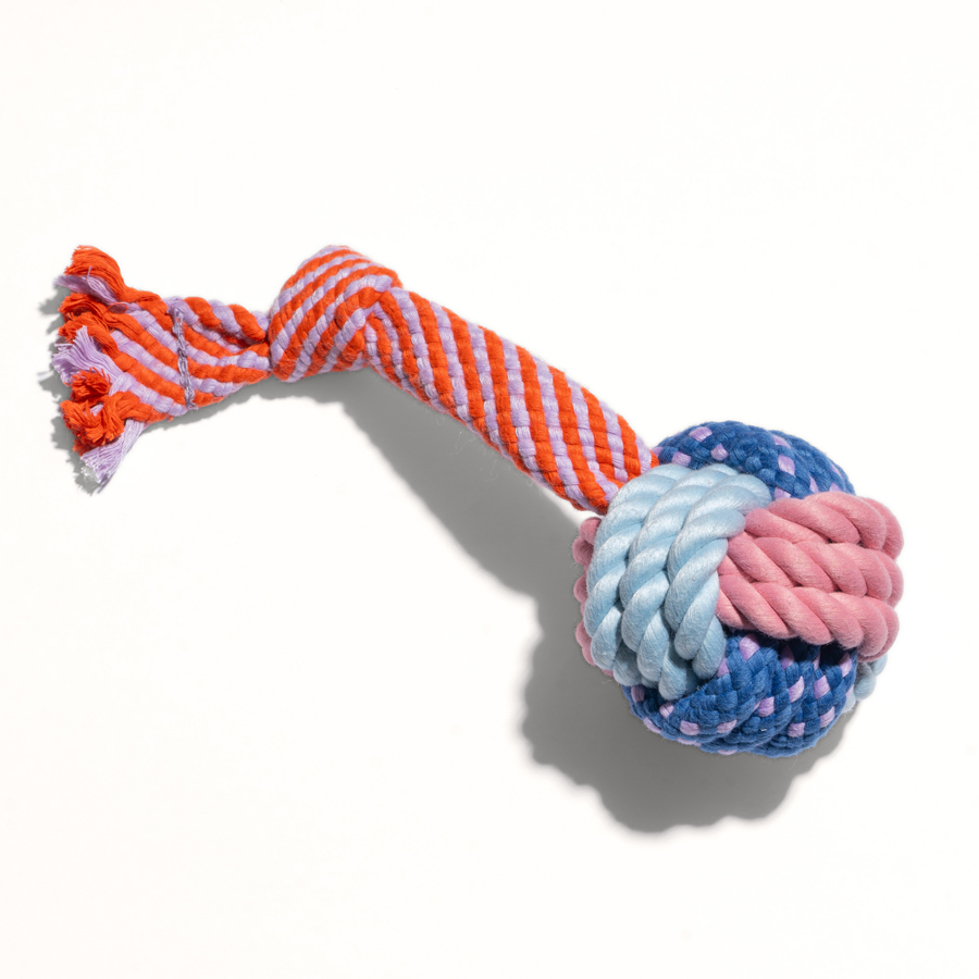 Oodles Multi-Coloured Rope Dog Toy