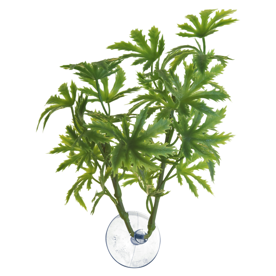 Zoo Med Betta Plants Papaya Aquarium Plant