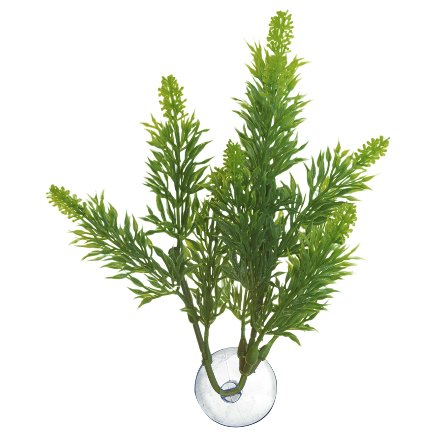 Zoo Med Betta Plants Salvia Aquarium Plant
