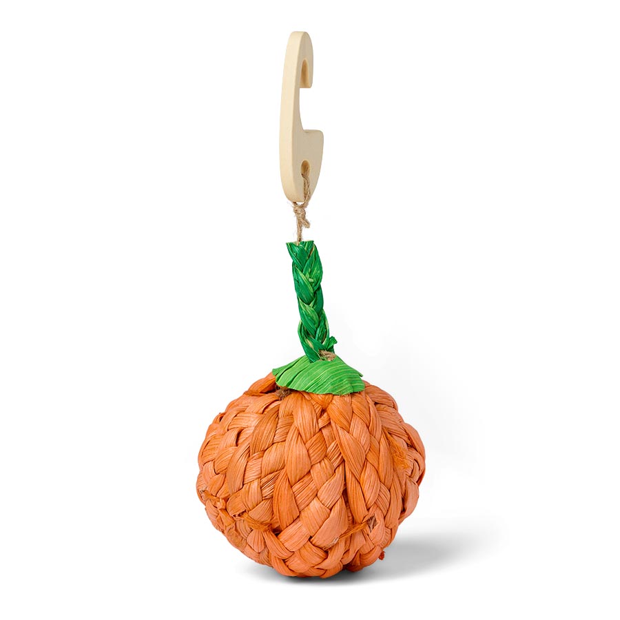Pets at Home Seagrass Pumpkin Small Animal Gnaw